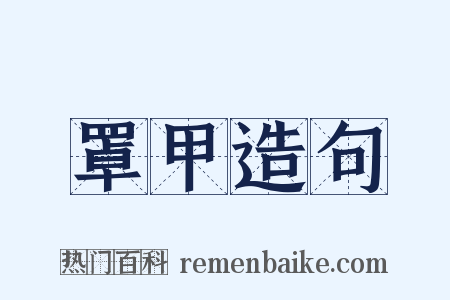 罩甲造句是什么意思的图片